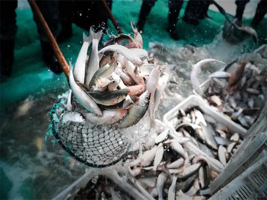 元旦3日【克旗越野】纵穿黄岗梁·最美冰雪走廊-热阿线/达达线-美林谷-达里湖冬捕 商品图2