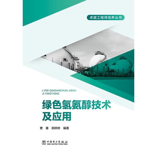 绿色氢氨醇技术及应用 商品图1