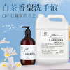 白茶泡沫洗手液500ml按压式瓶装家用酒店专用大桶补充装整箱批发 商品缩略图0