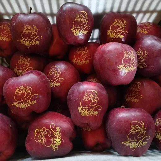 【圣诞礼物】顺丰陆运 甘肃天水花牛苹果礼盒装 新鲜平安果 商品图2