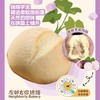 🌟芋泥米面包 商品缩略图0