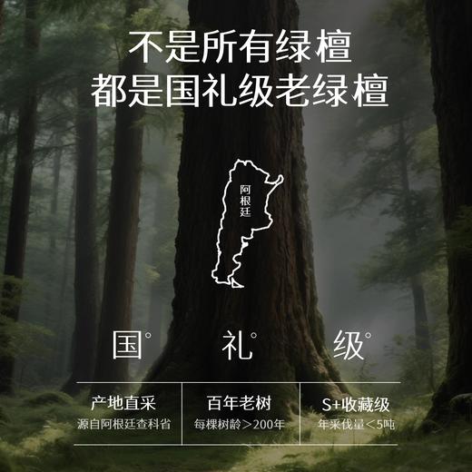 六鑫珠宝 天然绿檀木和田玉文玩佛珠檀香盘玩手串沉水级 商品图3