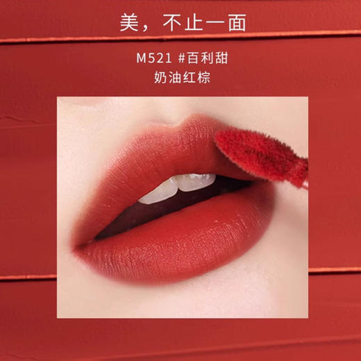 【12月】雅丽洁极密轻雾丝绒唇釉 商品图2
