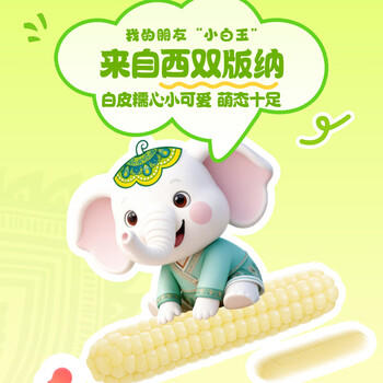 十月稻田 云南白拇指玉米 2斤(14~22根) 手指小玉米 真空包装 西双版纳 /粮油调味 /杂粮 /谷米类 商品图6