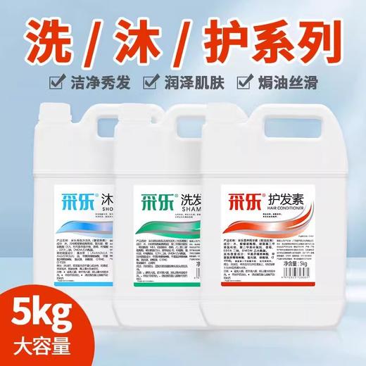 大桶洗发水沐浴露护发素理发店浴场酒店宾馆专用补充装清批发代发 商品图1