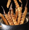 【福东海】冬虫夏草礼盒4-5条/克 10克/盒 商品缩略图4