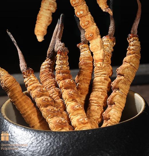 【福东海】冬虫夏草礼盒4-5条/克 10克/盒 商品图4