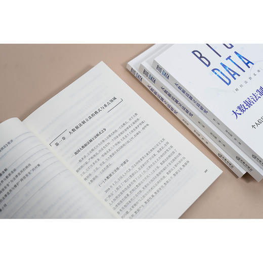 大数据法制立法研究（全4卷）邢会强 等著 法律出版社 商品图3
