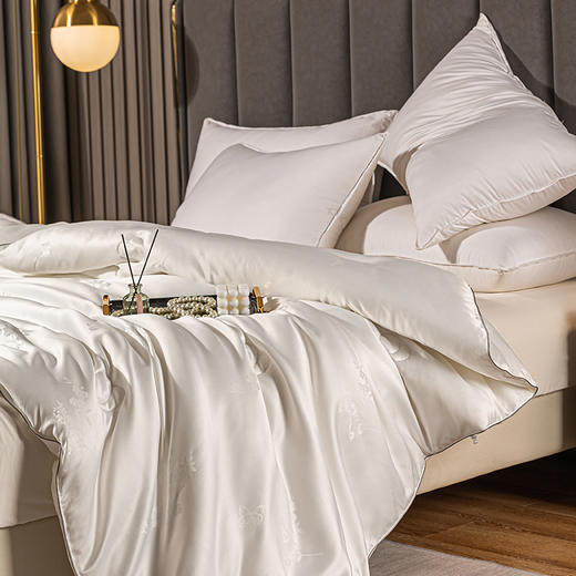 多喜爱 莎缇娜纯蚕丝子母被(珍珠白)S码【纯蚕丝子母被】【大提花工艺】 商品图1