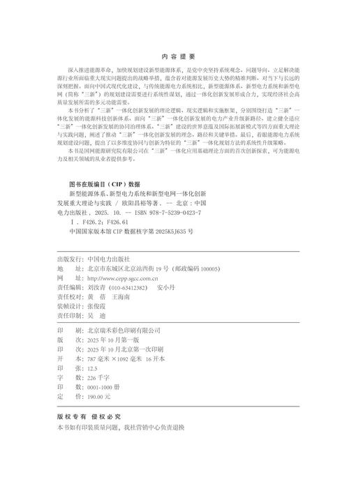 新型能源体系、新型电力系统和新型电网一体化创新发展重大理论与实践 商品图3