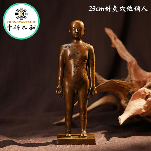 黄铜针灸穴位铜人全身穴位经络模型大诊所药店装饰扎针中医药医馆 商品图1