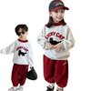 2026年马年新年男童女童加绒套装卫衣裤冬新款儿童韩版上衣宝宝冬季两件套80-150★ 商品缩略图3