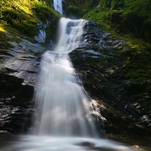 云南元旦｜1.1-1.3保山腾冲3天2晚，轻徒步探索高黎贡山，体验隐秘森林温泉，和顺古镇/高黎贡山五道溪徒步/古桥群/滇缅公路/松山抗战遗址/惠通桥/石瓢温泉，趣野星球摄影师带队小团！ 商品图3