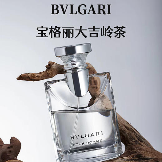 BVLGARI/宝格丽  大吉岭茶香 男士淡香水100ml 商品图1