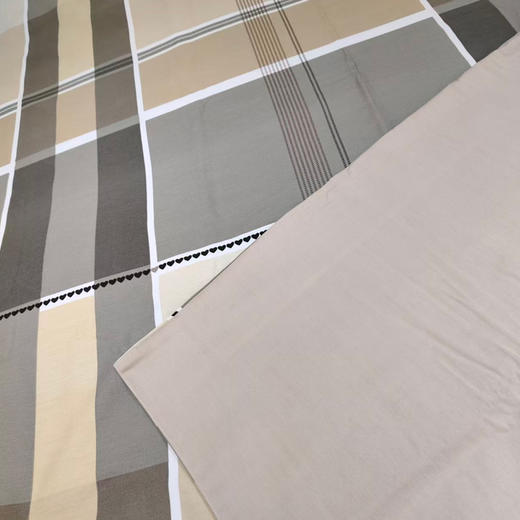 【直送到家】安睡宝 甄好棉棉印花三/四件套-布兰奇 200*230cm 商品图2