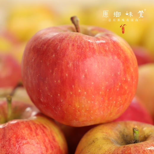 阿克苏有机苹果/水蜜桃苹果/爱妃苹果/红富士苹果（基地直发-顺丰快递）|多种规格，来自新疆阿克苏，生产者：贺章伟（合作生产，公平贸易） 商品图10