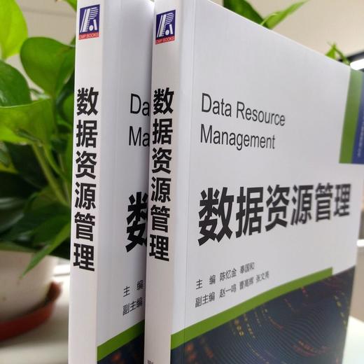 官网 数据资源管理 陈忆金 教材 9787111743217 机械工业出版社 商品图2