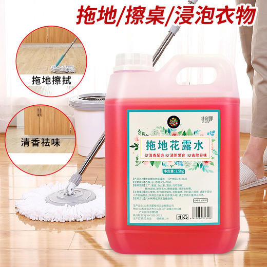 地板清洁剂万能家用洗液瓷砖地板拖地神器香型强力去污除垢清洗剂 商品图3