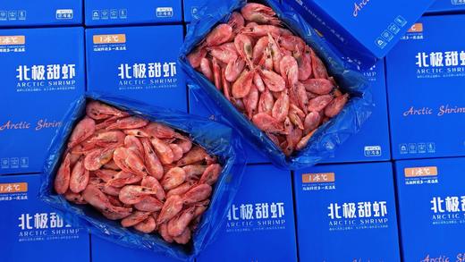 北极甜虾·头籽 商品图3