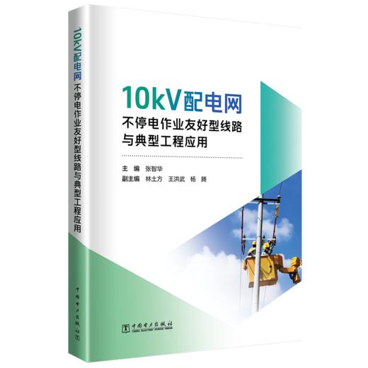 10kV配电网不停电作业友好型线路与典型工程应用 商品图0