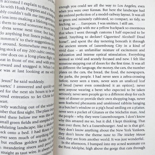 东西莫辨逛欧洲 英文原版 Neither Here Nor There Travels in Europe 旅行随笔系列 万物简史作者 Bill Bryson 英文版进口英语书 商品图2