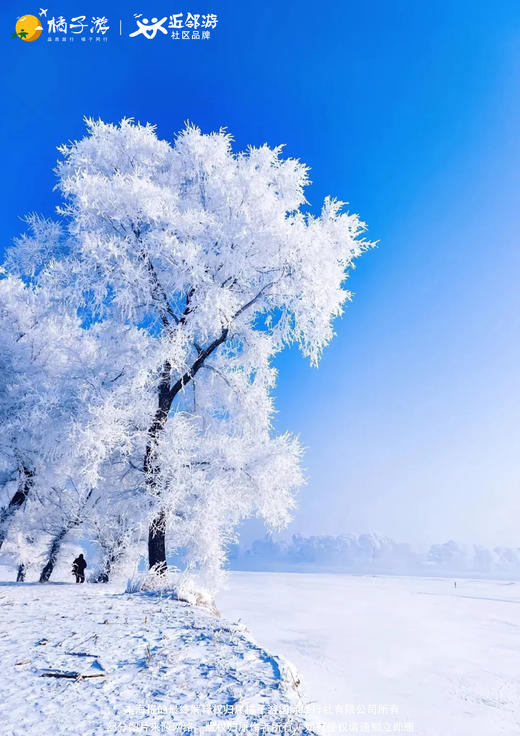 【嗨翻冰雪】东北双飞7天游（广州往返） 商品图1