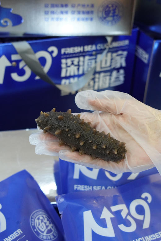 北纬39度鲜蒸海参3斤装！ 商品图1