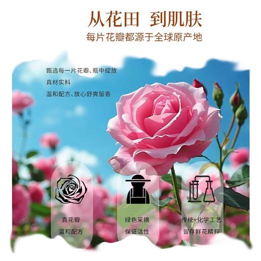 玫瑰香氛花瓣沐浴露民宿客栈专用温和保湿深层清洁持久留香批发 商品图3
