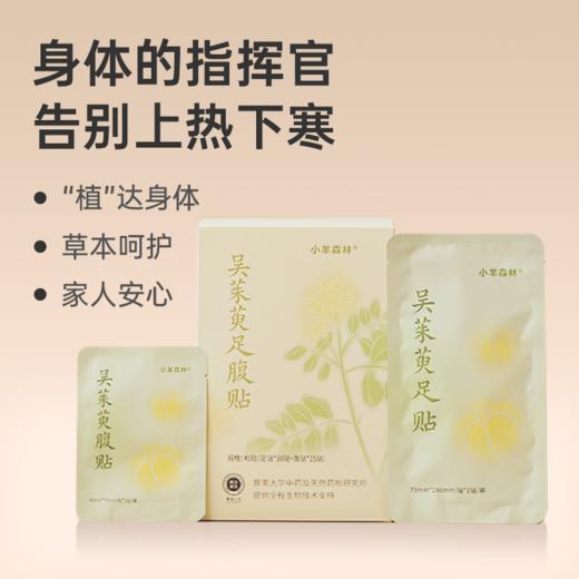 【吴茱萸足腹贴】 草本配方 穴位敷贴 调理养护 足贴腹贴组合lc 商品图0