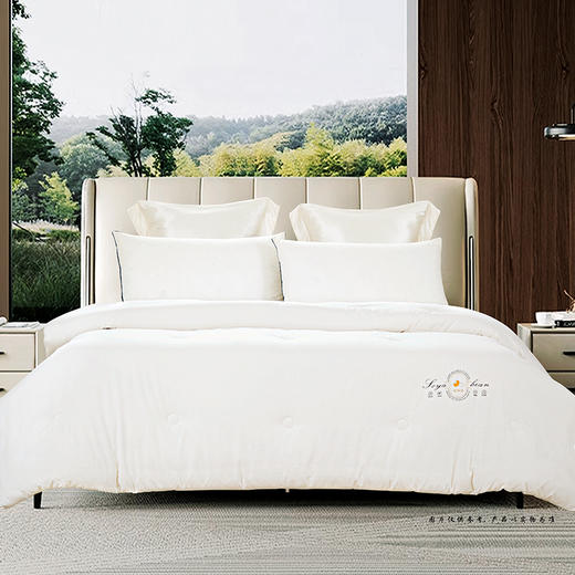 鑫缘 舒肤豆暖被 BAN2023 商品图1