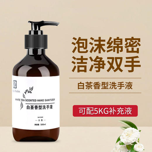 白茶香洗手液500ml大瓶装 按压手部泡沫清洁滋润酒店民宿洗浴家用 商品图2