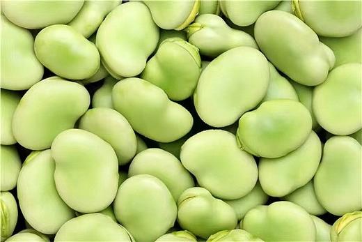 【生鲜预定】蚕豆 去壳 商品图0
