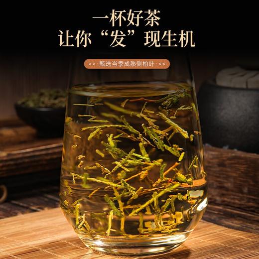 福东海 侧柏叶500克 侧柏可做中药材枕头 泡水可做侧柏粉可搭当归桑叶 商品图2