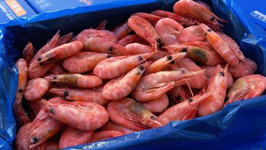 北极甜虾·头籽 商品图4