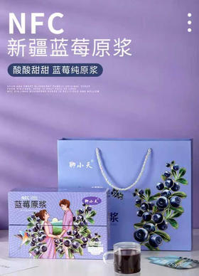 聊小天 NFC蓝莓原浆 25ml*10袋/盒