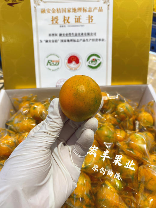 超大个脆蜜金柑 口感纯甜 不涩不辣  活动价39.9元一斤 商品图4
