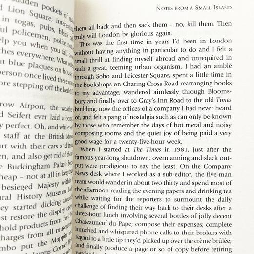 小不列颠札记 英文原版 Notes From A Small Island 来自一个小岛的启示 布莱森旅行随笔系列 Bill Bryson 英文版进口原版英语书籍 商品图3