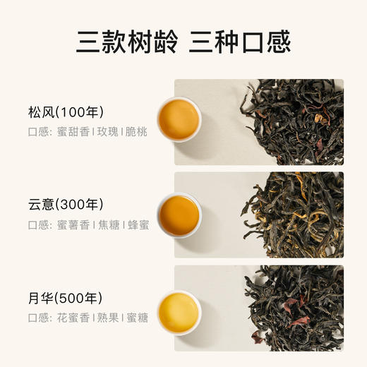 贝叶集红茶百年古树红茶系列蜜甜香月华高端茶叶伴手茶礼 商品图1
