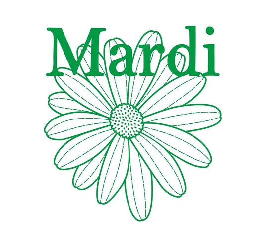 女款小雏菊提花针织毛衣he 商品图4