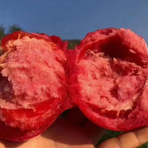 【攀枝花沙瓤西红柿】自然熟0催熟，沙瓤爆汁，童年味力觉醒！ 商品图7