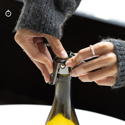 企鹅市集|定制通用葡萄酒酒塞 起泡酒静态酒通用 食品级硅胶 耐用不锈钢 隔绝氧气 保存气泡 商品图1