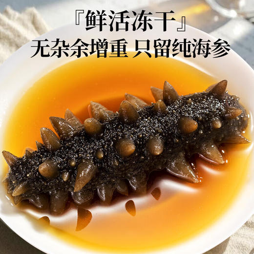 神农金康山珍海味进口燕窝鱼胶海参十拼礼盒254g高端滋补礼盒送礼长辈补品 商品图7