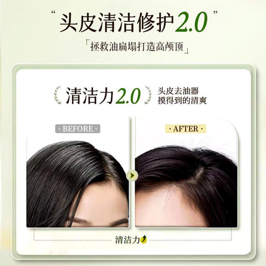 洗护套装洗发水沐浴露护发素家用酒店宾馆大瓶装蓬松头发厂家批发 商品图2