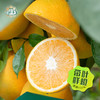 ZN江西赣南脐橙大果4.5斤彩箱装【分仓直发，72小时发货，周末节假日不发货】 商品缩略图3
