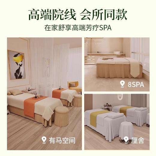 橄榄按摩油美容院专用大瓶身体按摩油通经络护肤开背SPA厂家批发 商品图3