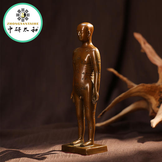 黄铜针灸穴位铜人全身穴位经络模型大诊所药店装饰扎针中医药医馆 商品图3