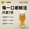 浑浊IPA鲜酿  252ml6罐/14罐  3L/桶  5L/桶 商品缩略图3