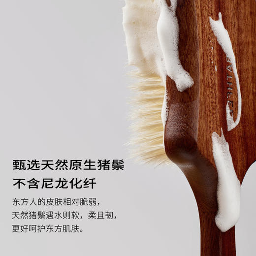 浴见 乌檀木浴刷洗澡刷猪鬓毛 商品图1