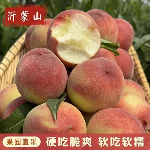 冬日的脆甜馈赠——山东蒙阴冬桃，霜降后才懂的真味 商品图3