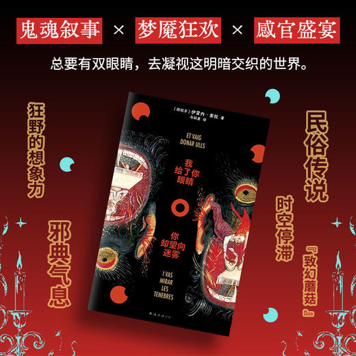 我给了你眼睛，你却望向迷雾 商品图2